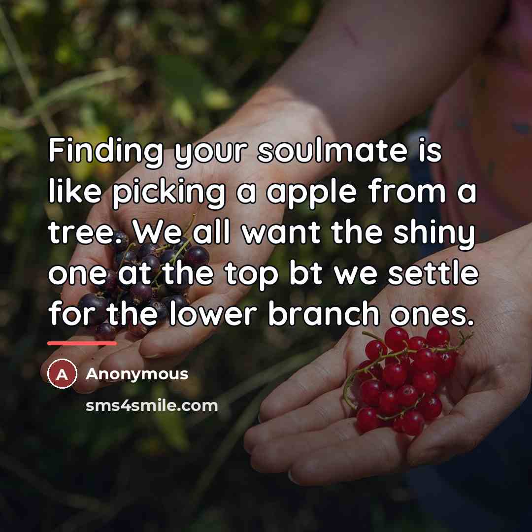 “Finding your soulmate is like picking a apple from a…” quote by Anonymous