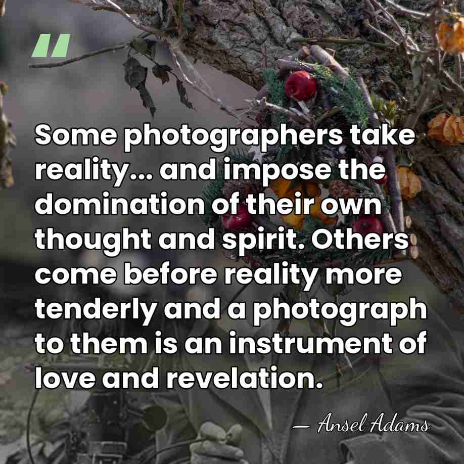 Some photographers take reality... and impose the domination of their own thought&hellip; - Ansel Adams
