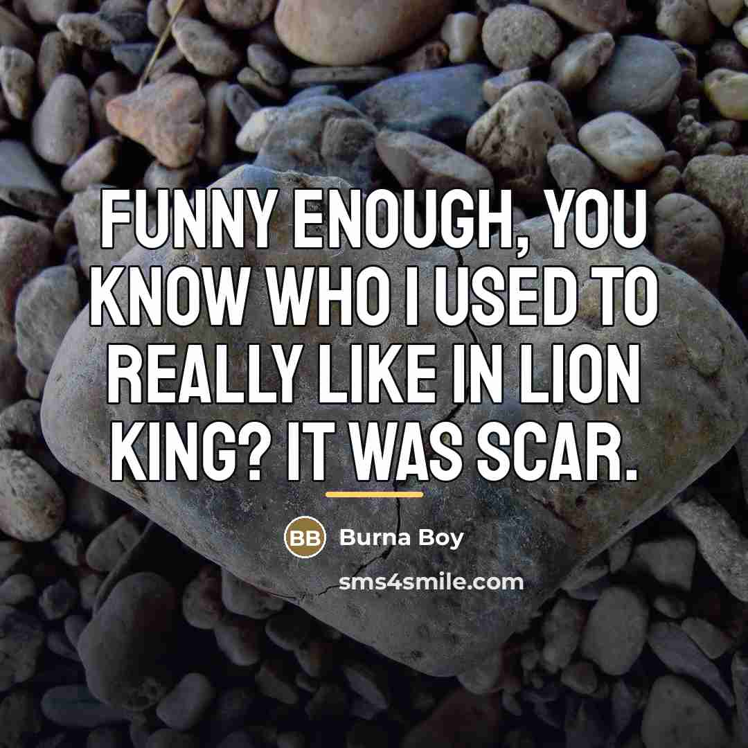 “Funny enough, you know who I used to really like…” quote by Burna Boy