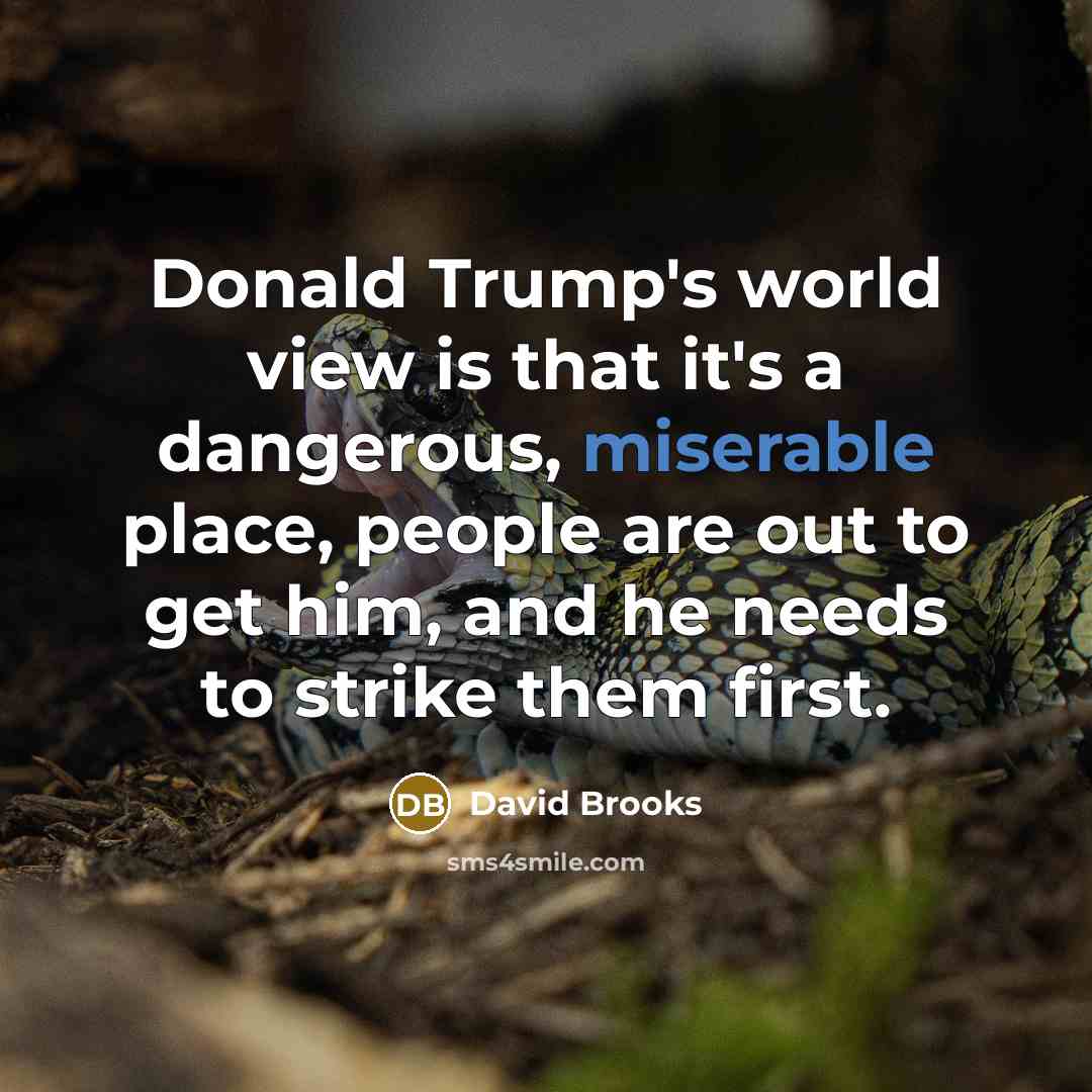 “Donald Trump's world view is that it's a dangerous, miserable…” quote by David Brooks