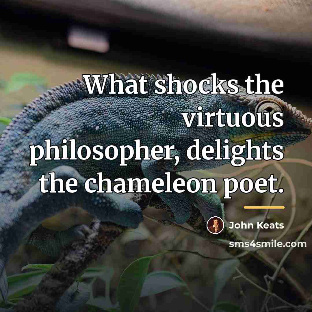 “What shocks the virtuous philosopher, delights the chameleon poet.…” quote by John Keats