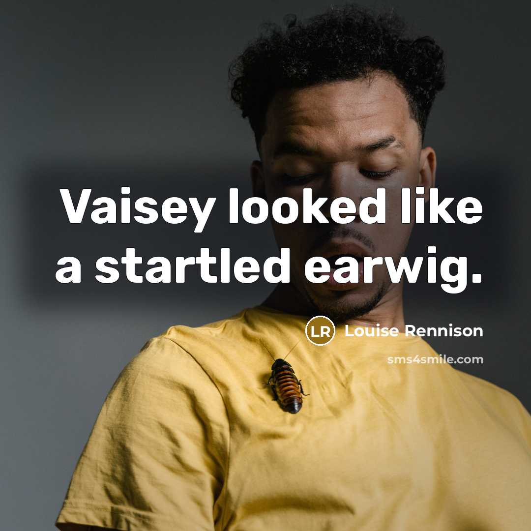 “Vaisey looked like a startled earwig.…” quote by Louise Rennison
