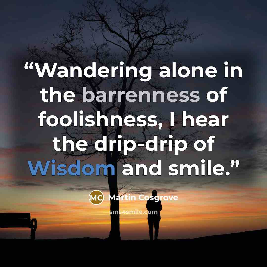 “Wandering alone in the barrenness of foolishness, I hear the drip-drip of Wisdom and smile.” quote by Martin Cosgrove