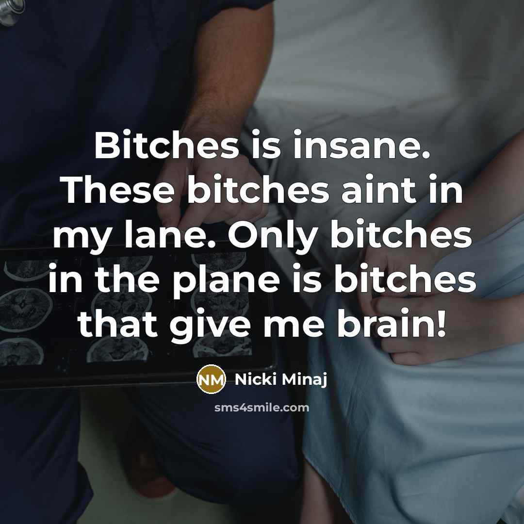 “Bitches is insane. These bitches aint in my lane. Only bitches in the plane is bitches that give me brain!” quote by Nicki Minaj