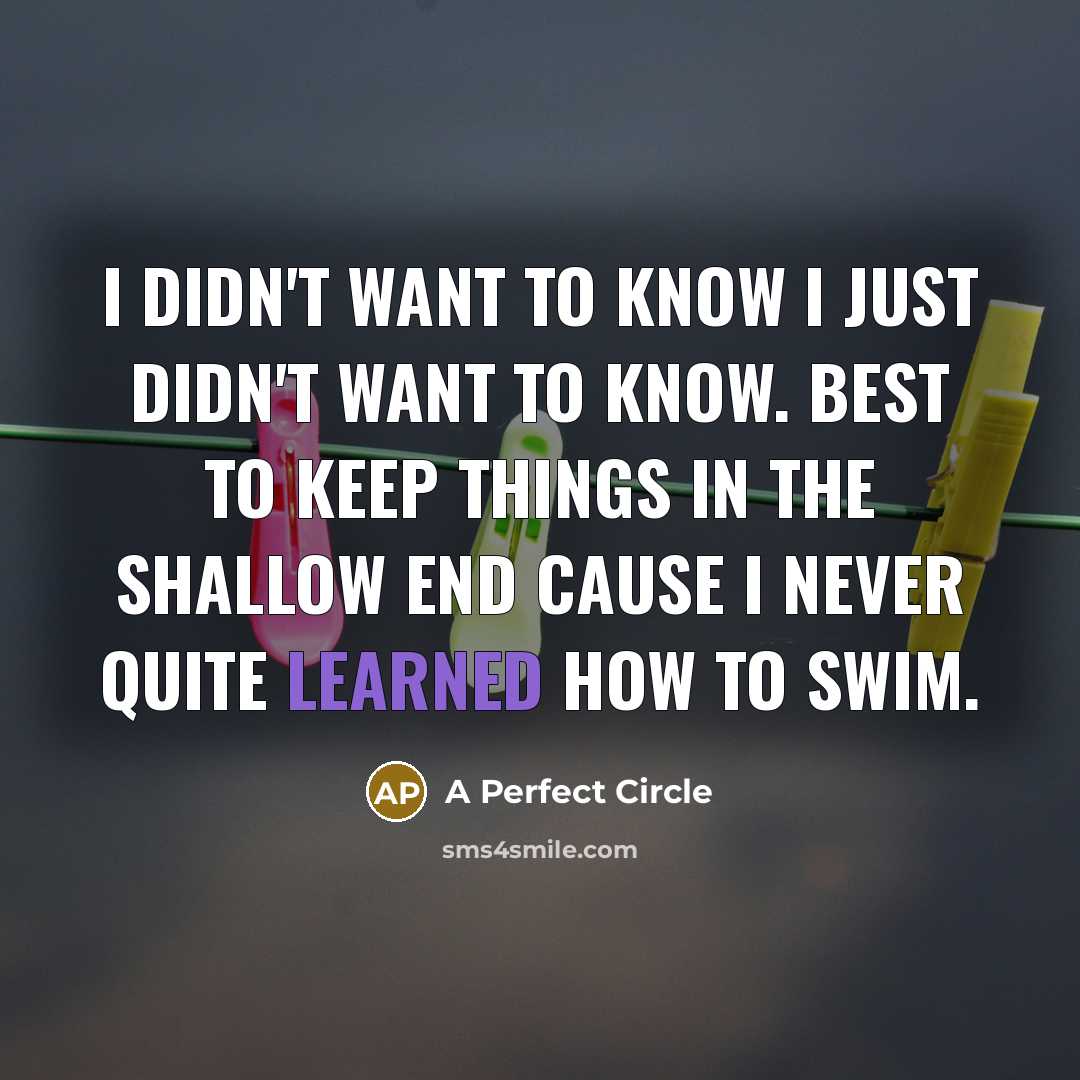 “I didn't want to know I just didn't want to…” quote by A Perfect Circle