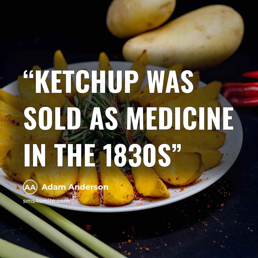 “Ketchup was sold as medicine in the 1830s” quote by Adam Anderson