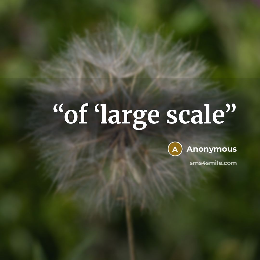 “of ‘large scale” quote by Anonymous