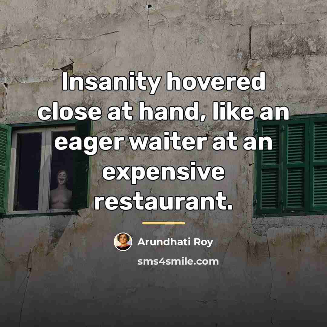 “Insanity hovered close at hand, like an eager waiter at…” quote by Arundhati Roy