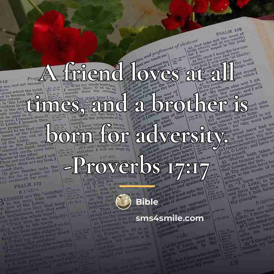 “A friend loves at all times, and a brother is…” quote by Bible