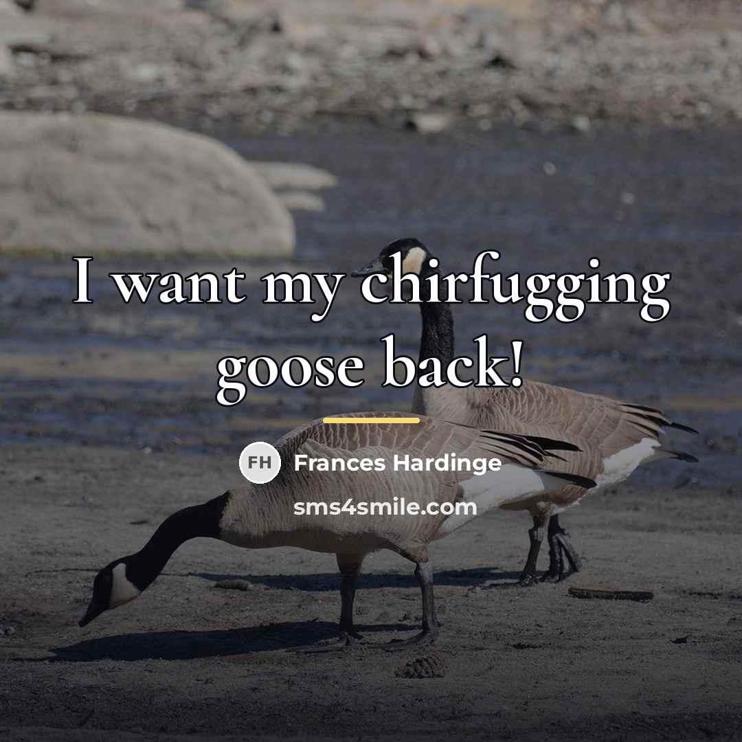 “I want my chirfugging goose back!…” quote by Frances Hardinge