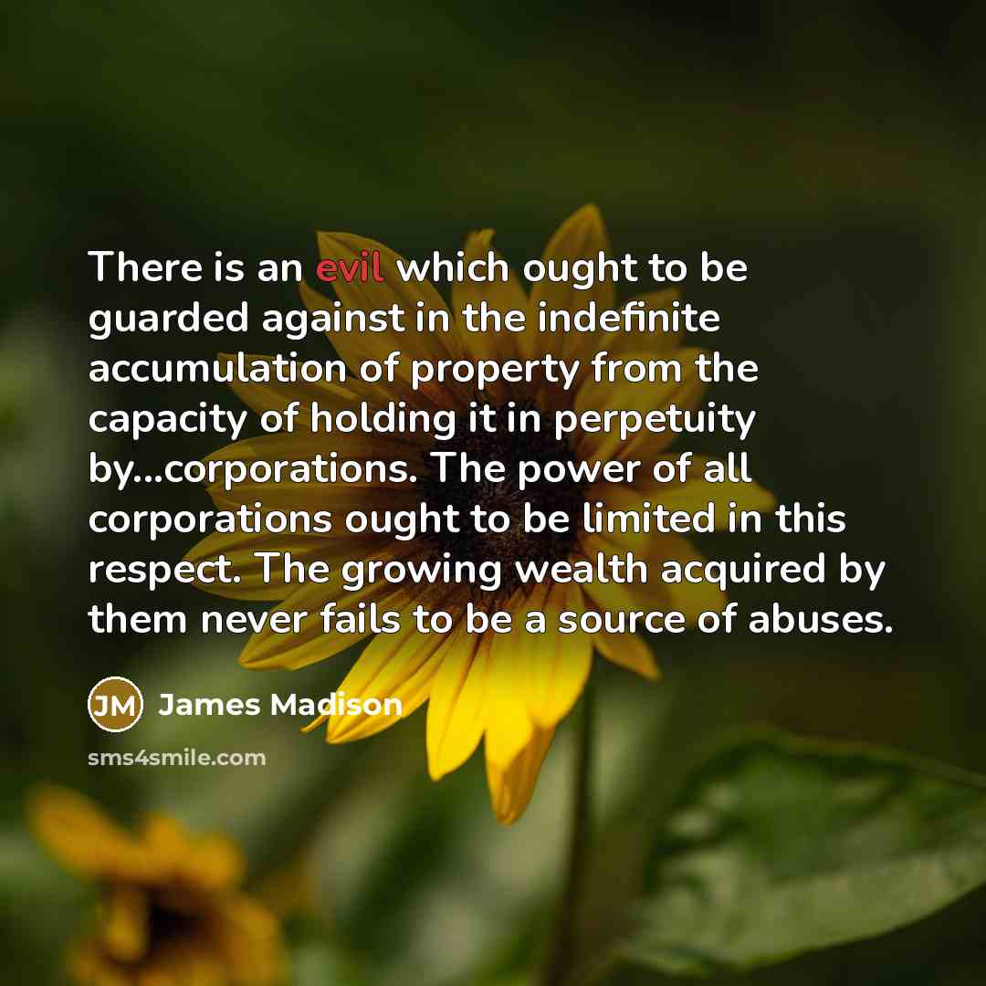 “There is an evil which ought to be guarded against…” quote by James Madison