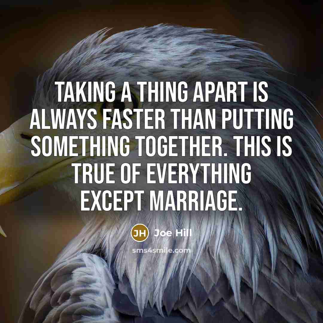 “Taking a thing apart is always faster than putting something together. This is true of everything except marriage.” quote by Joe Hill