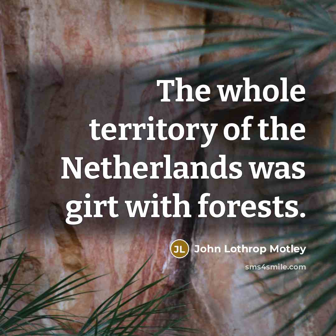 “The whole territory of the Netherlands was girt with forests.…” quote by John Lothrop Motley