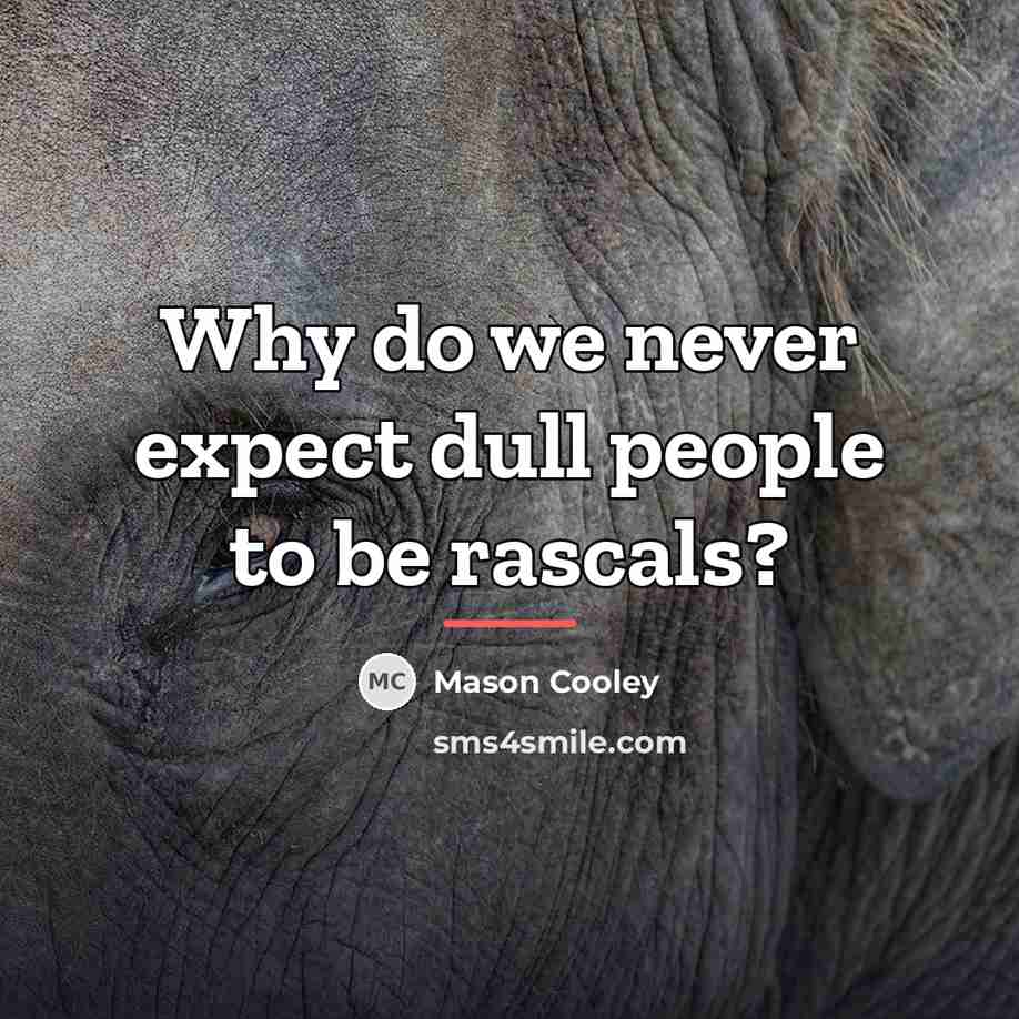 “Why do we never expect dull people to be rascals?…” quote by Mason Cooley