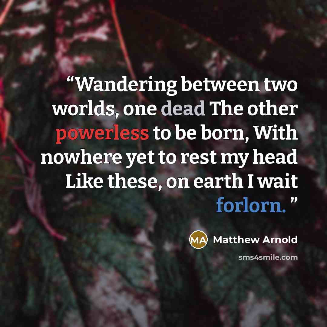 “Wandering between two worlds, one dead The other powerless to be born, With nowhere yet to rest my head Like these, on earth I wait forlorn.” quote by Matthew Arnold