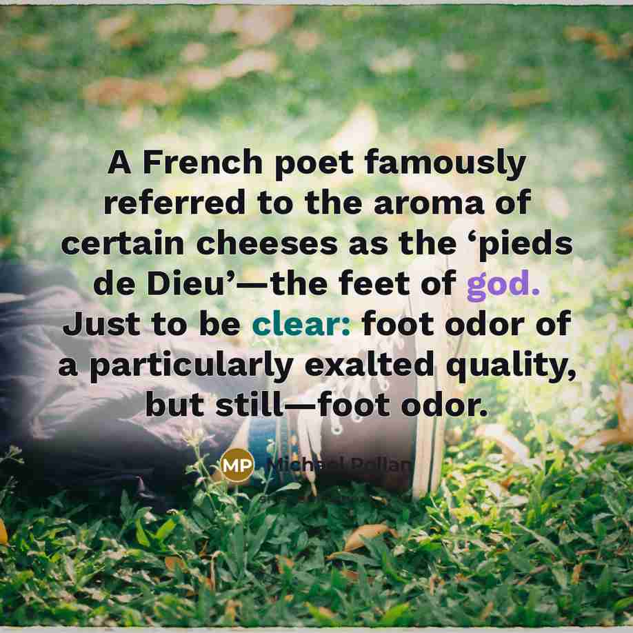 “A French poet famously referred to the aroma of certain…” quote by Michael Pollan