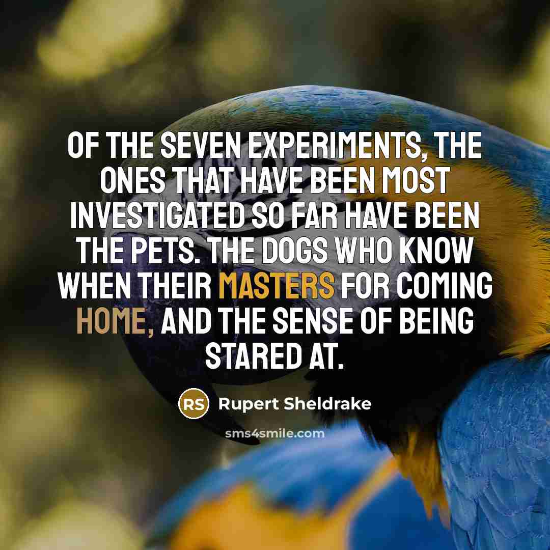 “Of the seven experiments, the ones that have been most investigated so far have been the pets. The dogs who know when their masters for coming home, and the sense of being stared at.” quote by Rupert Sheldrake