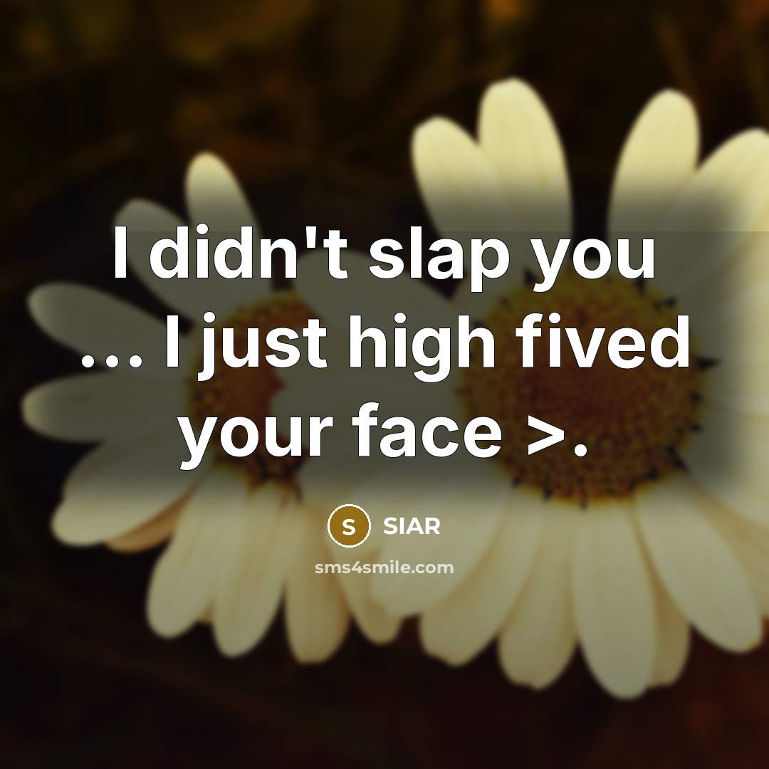 “I didn't slap you ... I just high fived your…” quote by SIAR