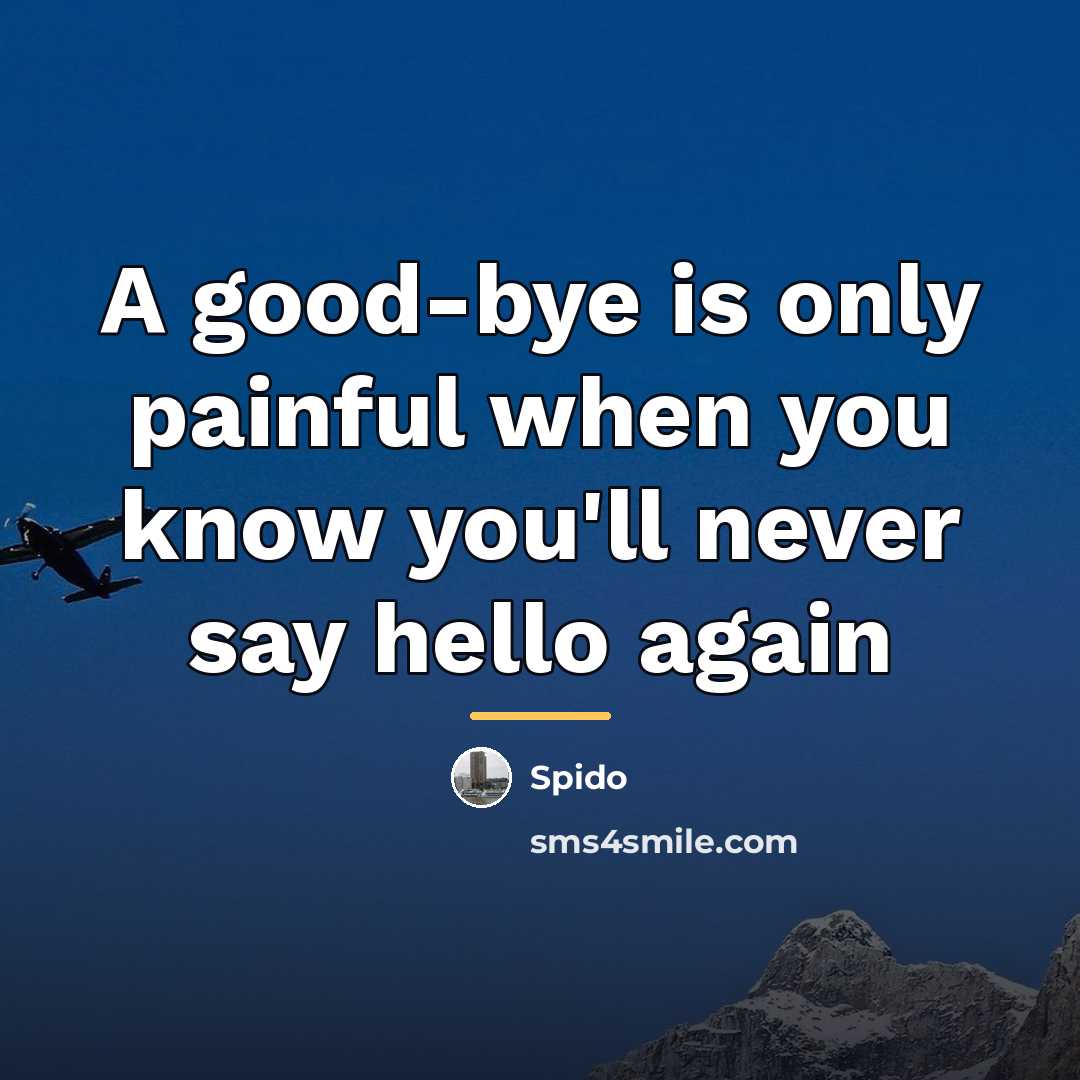 “A good-bye is only painful when you know you'll never…” quote by Spido