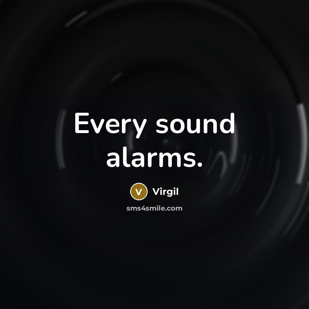“Every sound alarms.…” quote by Virgil