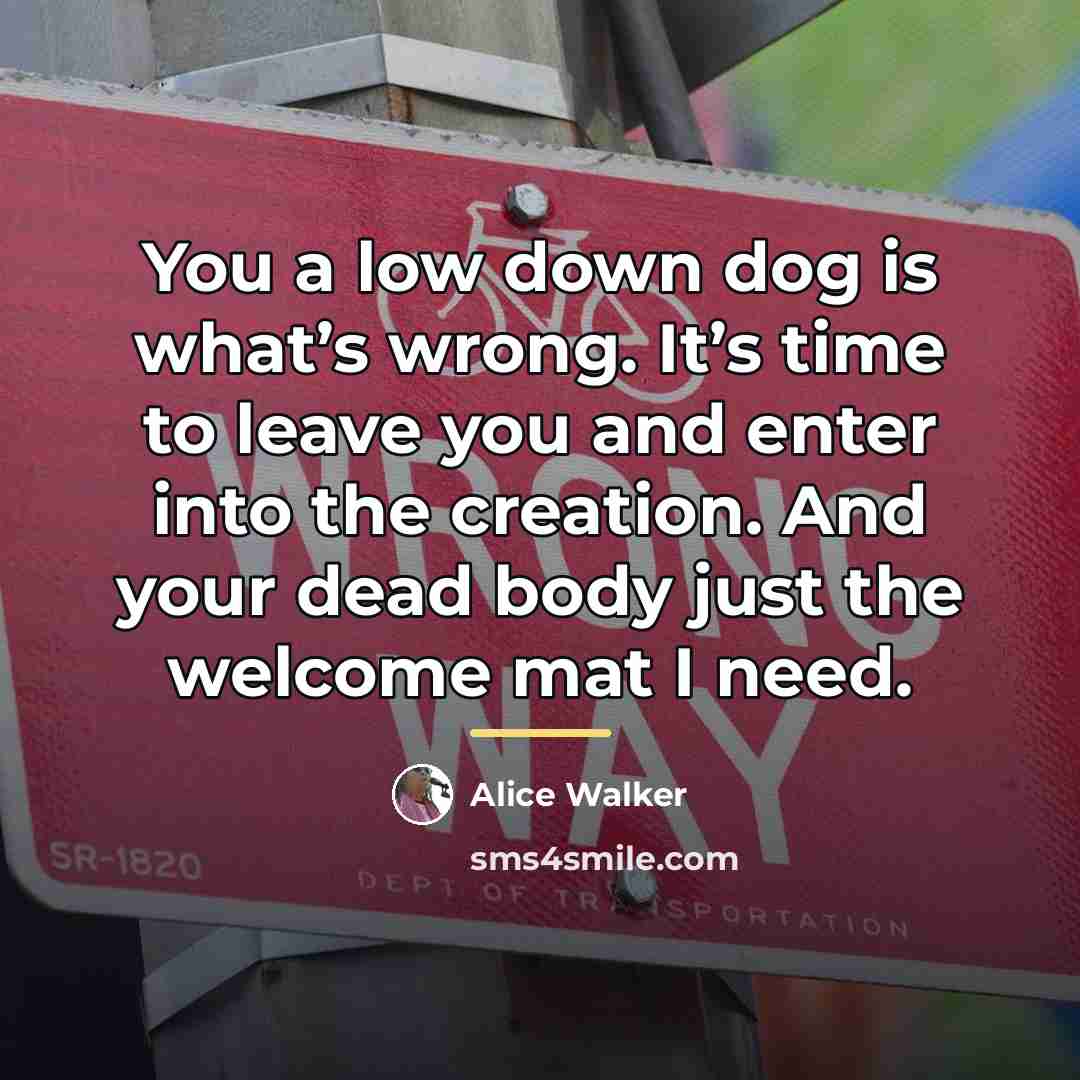 “You a low down dog is what’s wrong. It’s time…” quote by Alice Walker