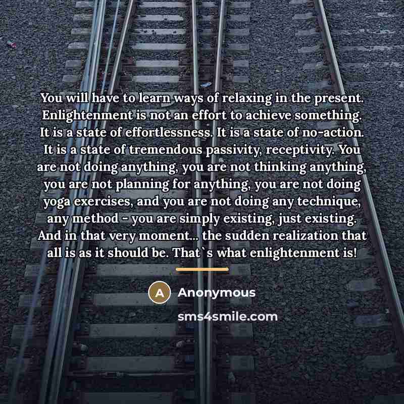 “You will have to learn ways of relaxing in the…” quote by Anonymous