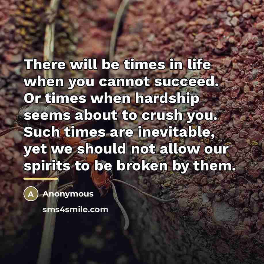 “There will be times in life when you cannot succeed.…” quote by Anonymous