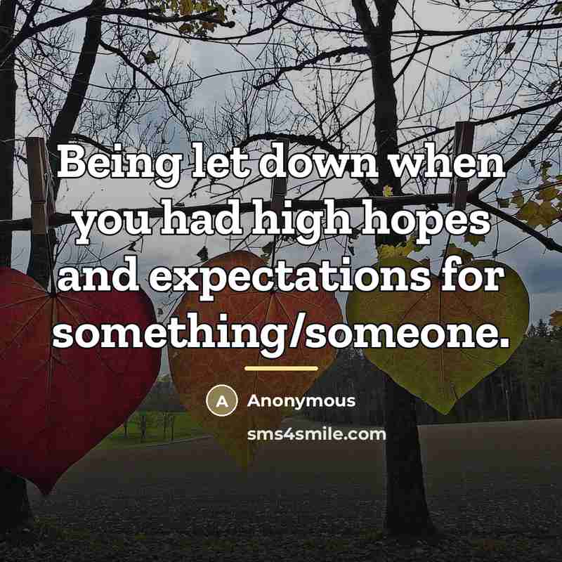 “Being let down when you had high hopes and expectations…” quote by Anonymous