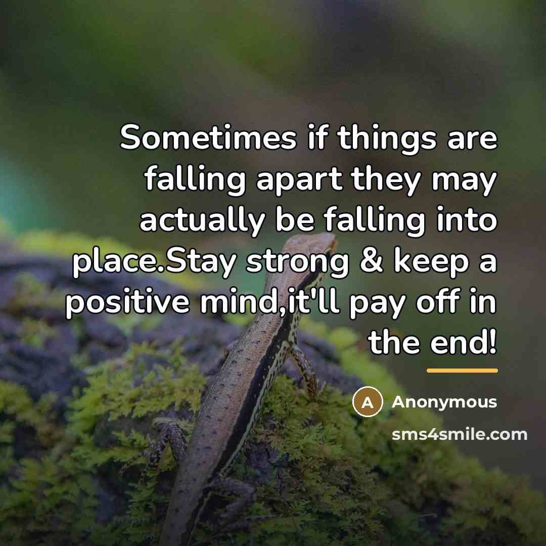 “Sometimes if things are falling apart they may actually be…” quote by Anonymous