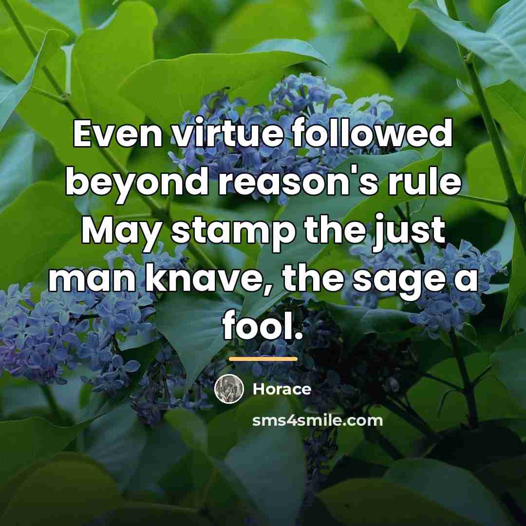 “Even virtue followed beyond reason's rule May stamp the just…” quote by Horace