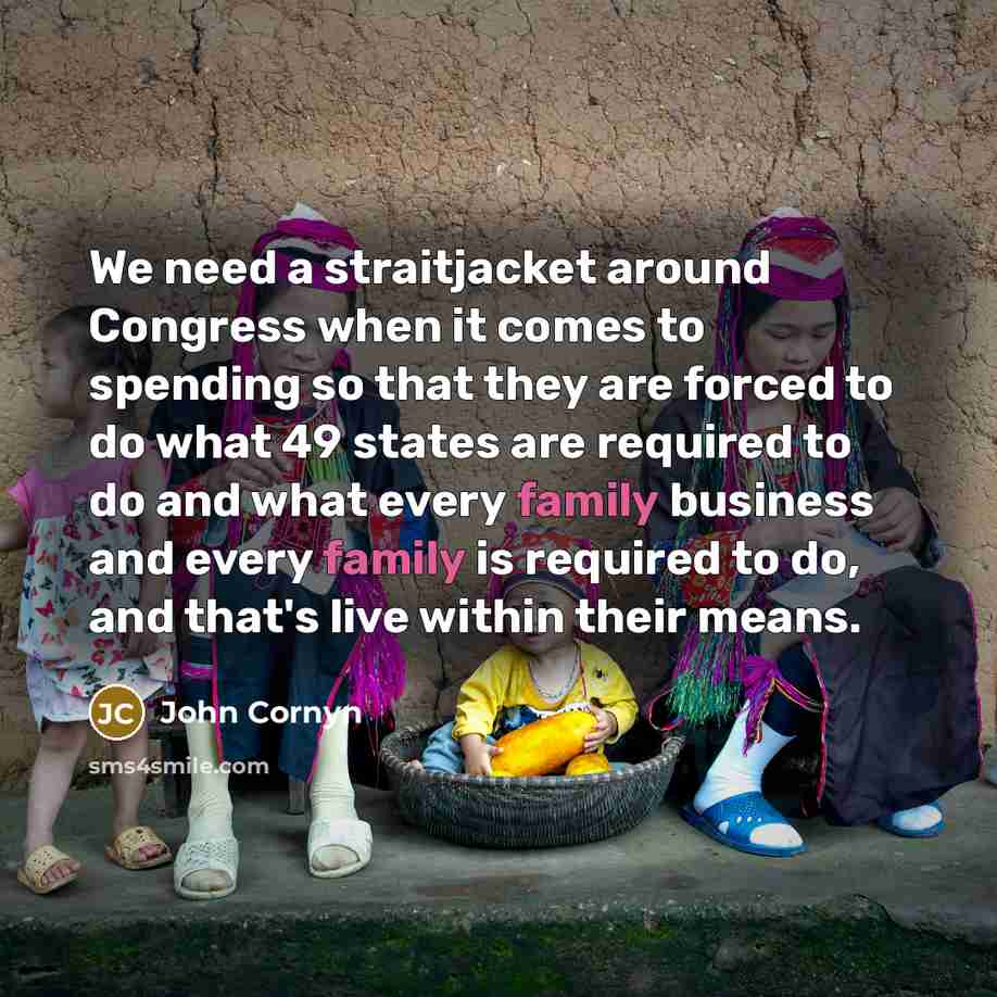 “We need a straitjacket around Congress when it comes to…” quote by John Cornyn