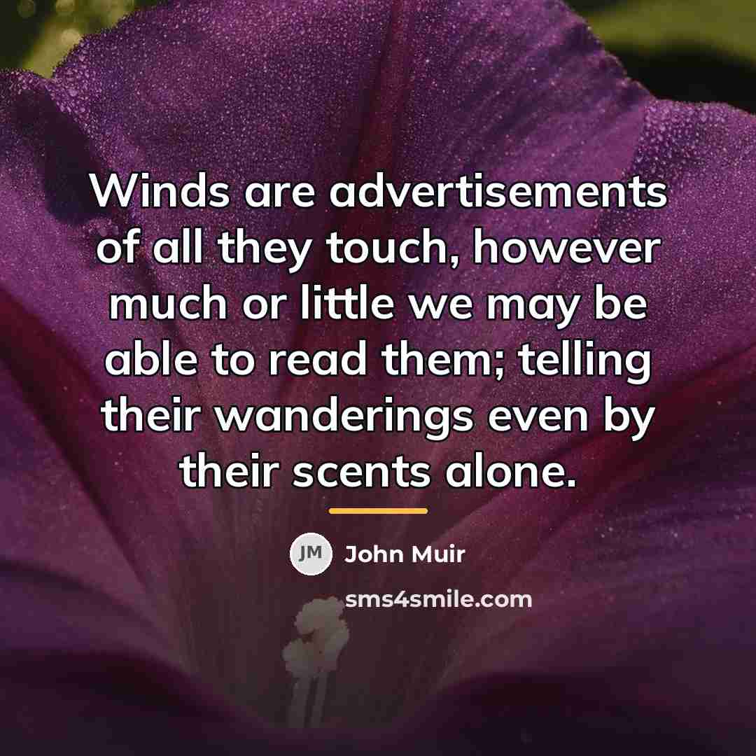 “Winds are advertisements of all they touch, however much or…” quote by John Muir