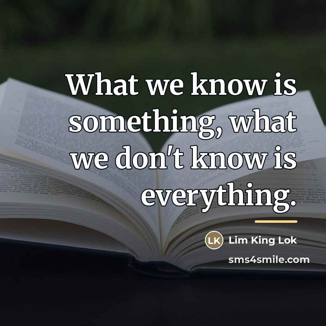 “What we know is something, what we don't know is…” quote by Lim King Lok