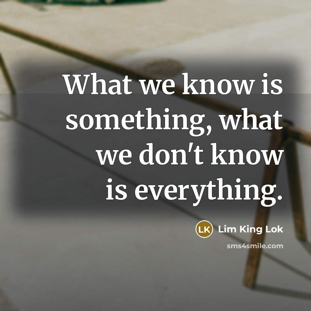 “What we know is something, what we don't know is everything.” quote by Lim King Lok
