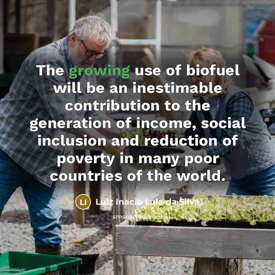 “The growing use of biofuel will be an inestimable contribution…” quote by Luiz Inacio Lula da Silva