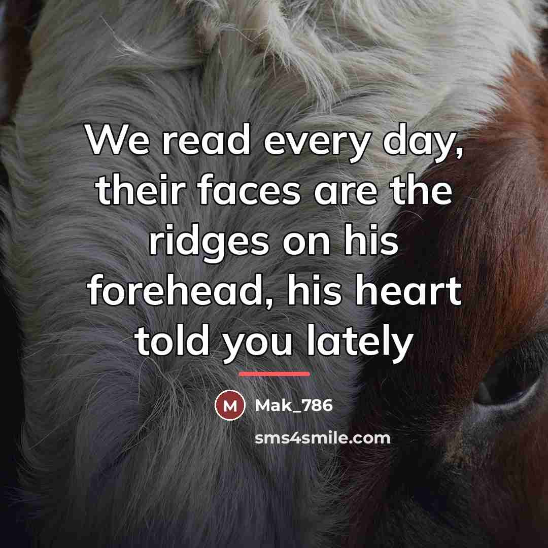 “We read every day, their faces are the ridges on…” quote by Mak_786
