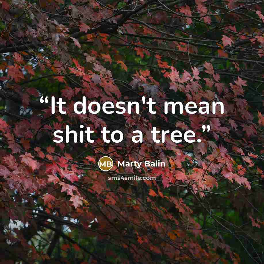 “It doesn't mean shit to a tree.” quote by Marty Balin