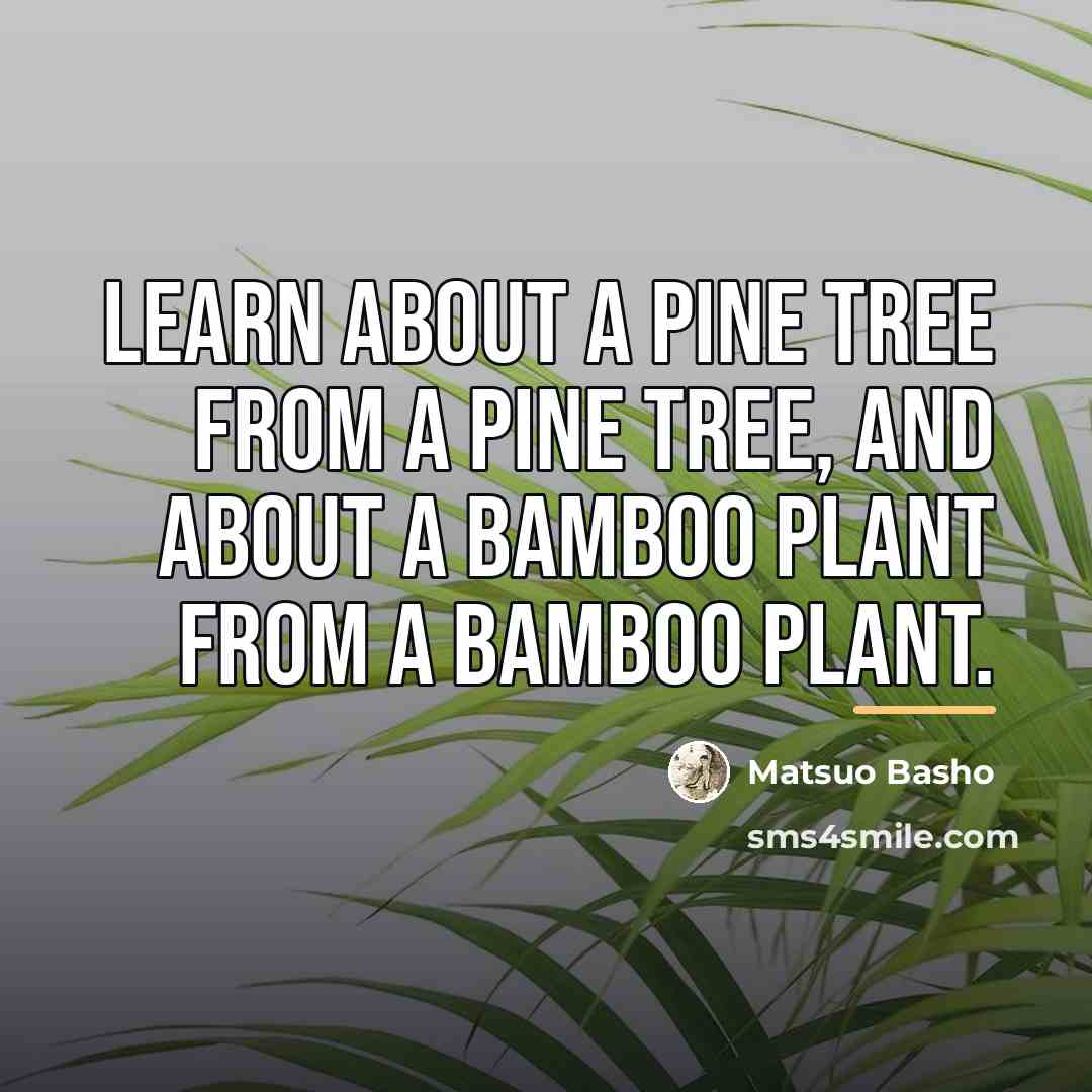 “Learn about a pine tree from a pine tree, and…” quote by Matsuo Basho
