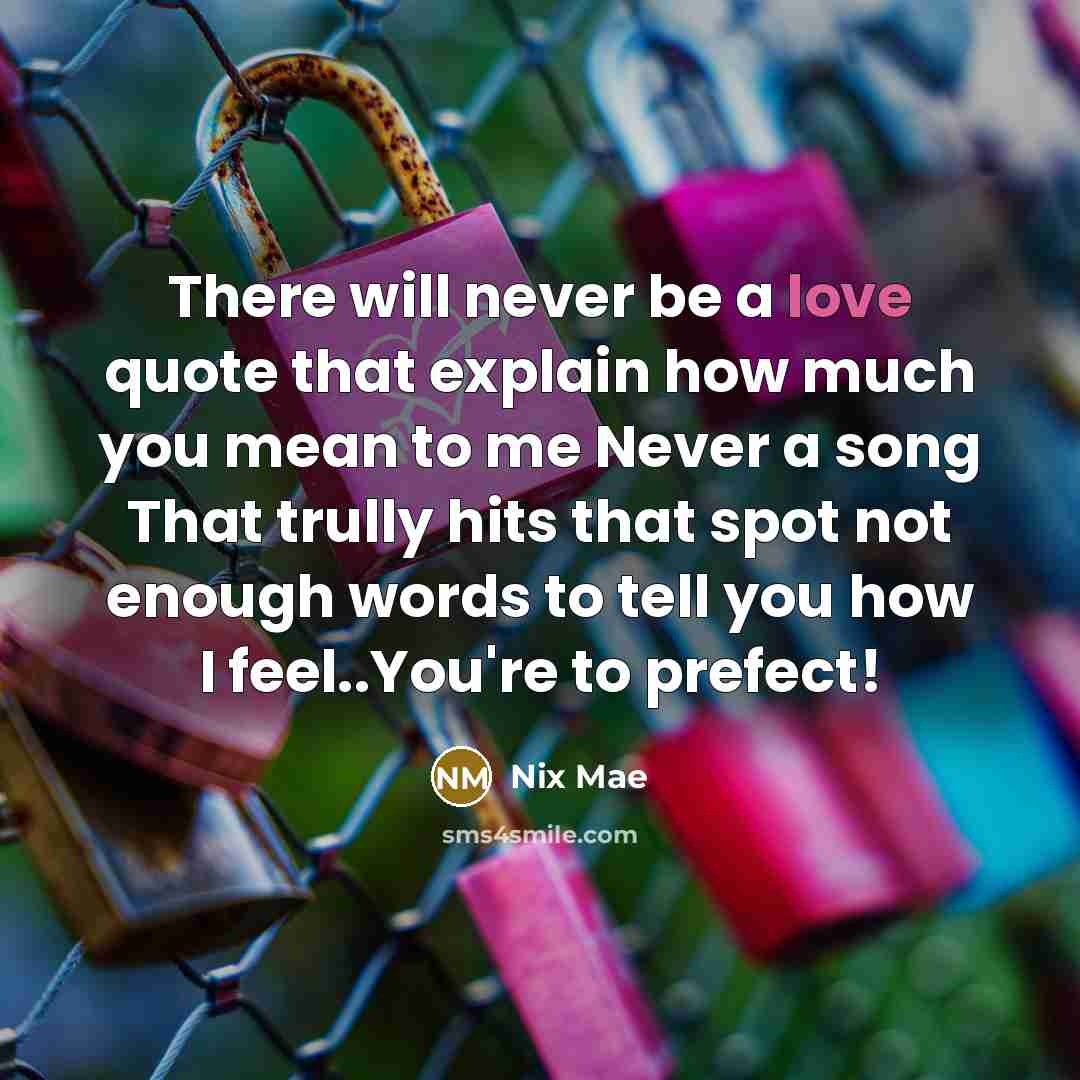 “There will never be a love quote that explain how…” quote by Nix Mae