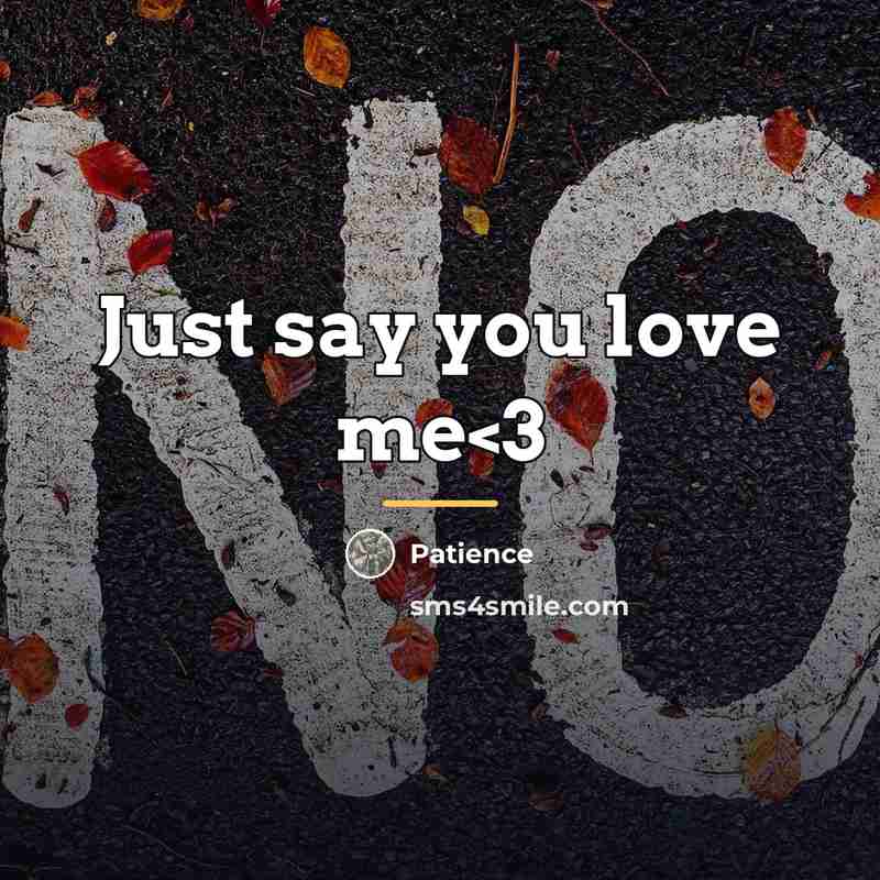 “Just say you love me…” quote by Patience
