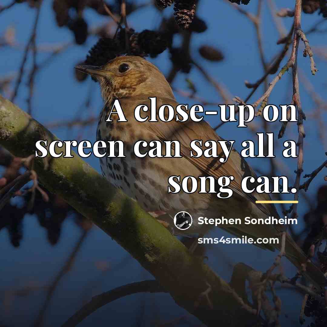 “A close-up on screen can say all a song can.…” quote by Stephen Sondheim