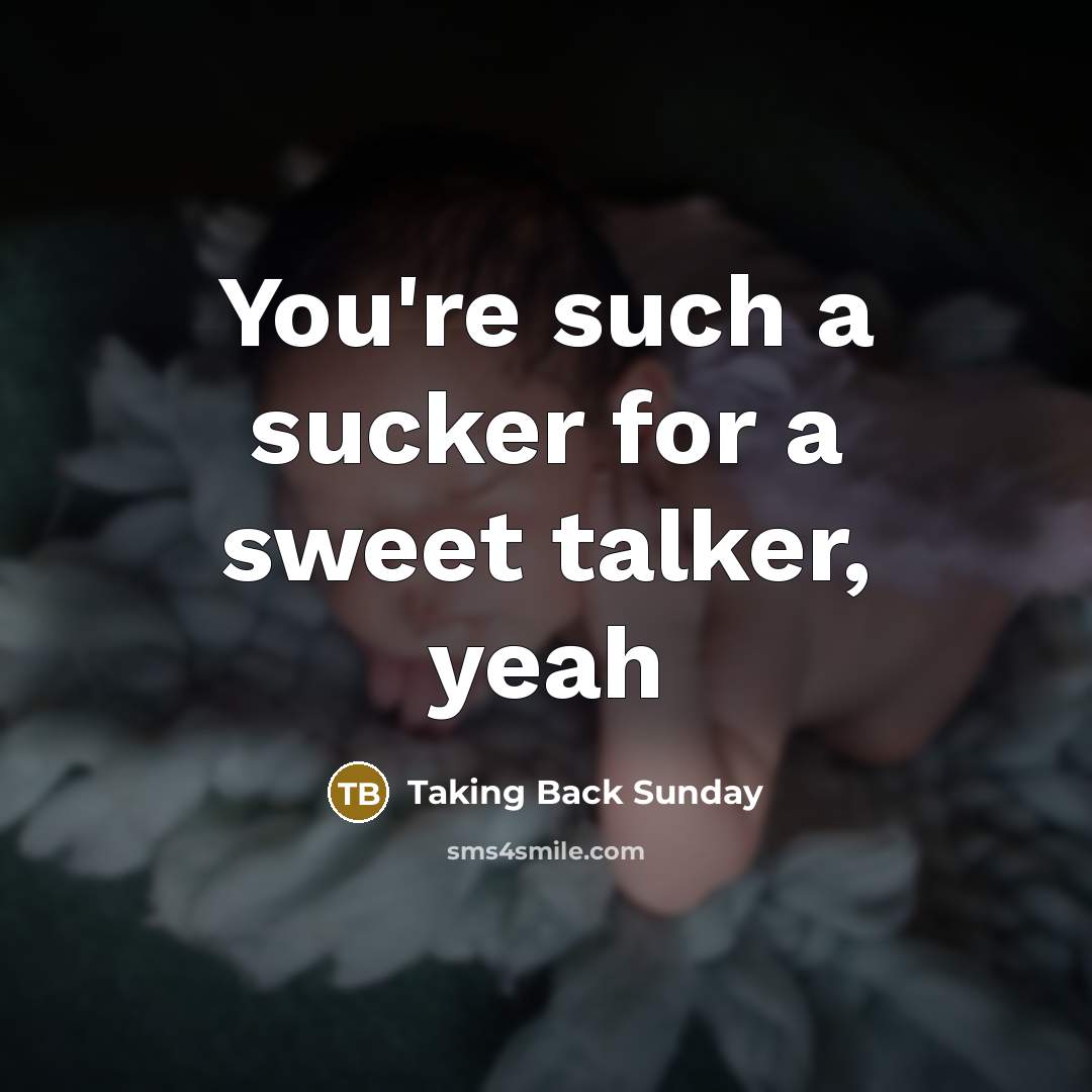 “You're such a sucker for a sweet talker, yeah…” quote by Taking Back Sunday