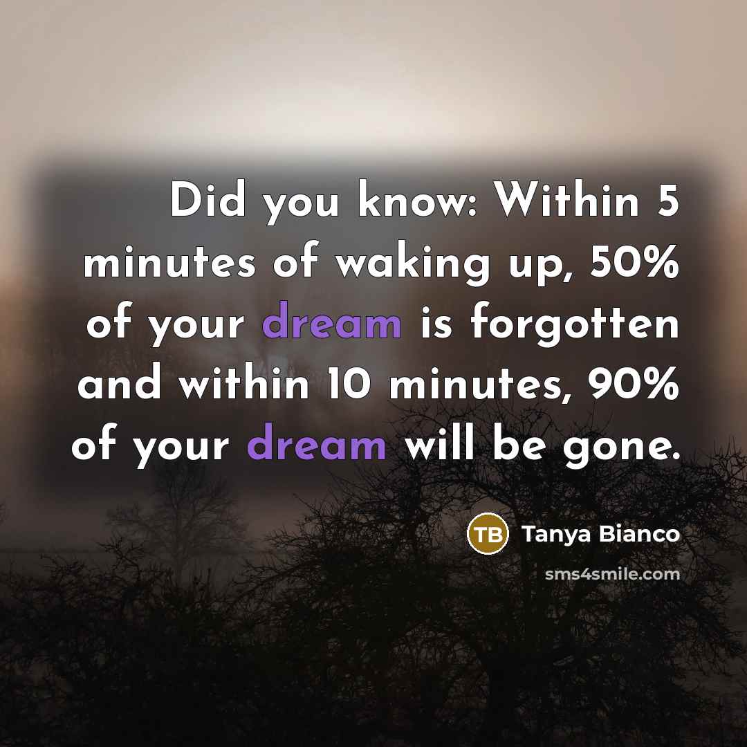 “Did you know: Within 5 minutes of waking up, 50% of your dream is forgotten and within 10 minutes, 90% of your dream will be gone.” quote by Tanya Bianco