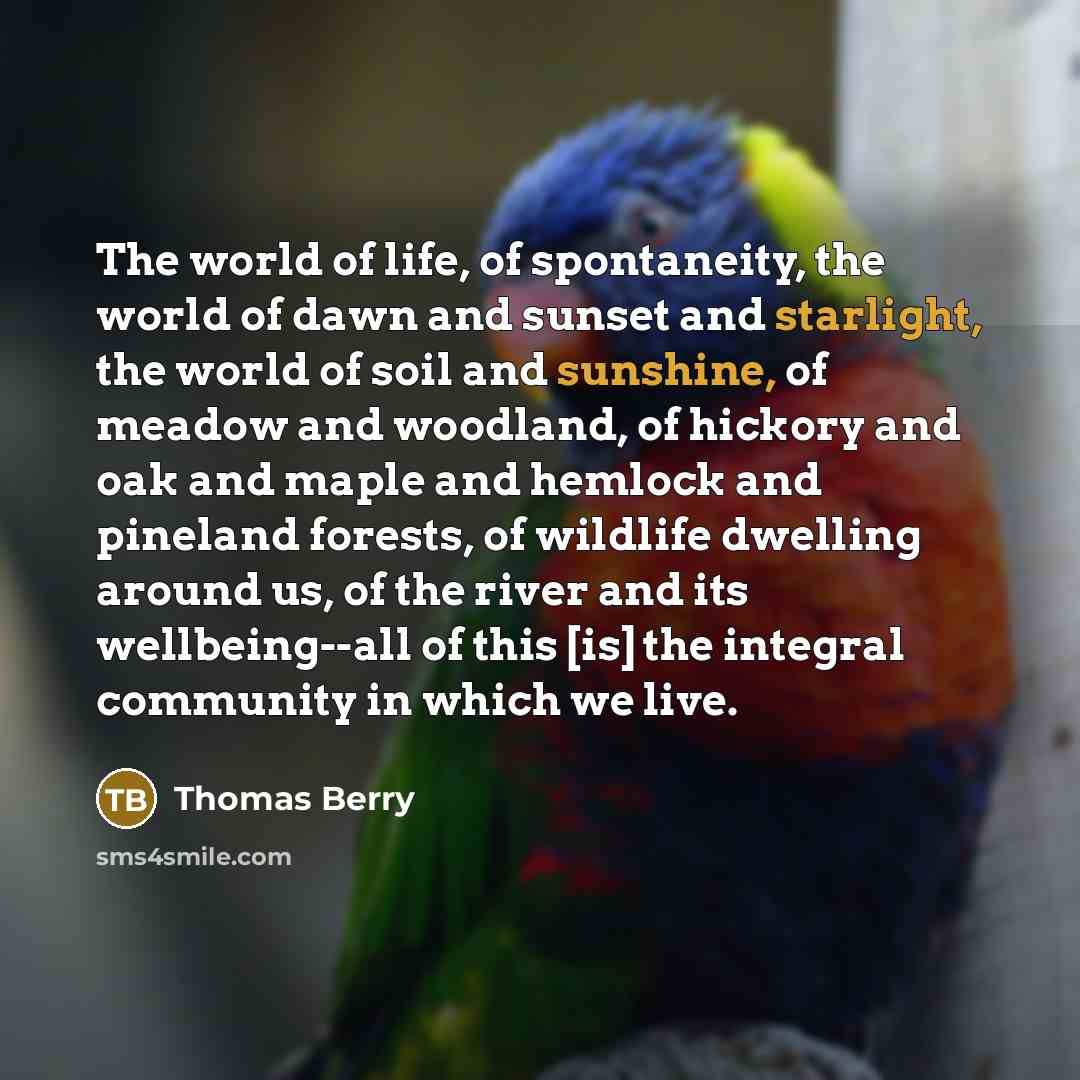 “The world of life, of spontaneity, the world of dawn…” quote by Thomas Berry