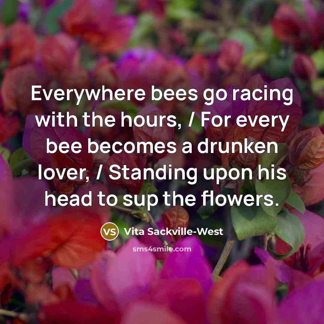 “Everywhere bees go racing with the hours, / For every…” quote by Vita Sackville-West