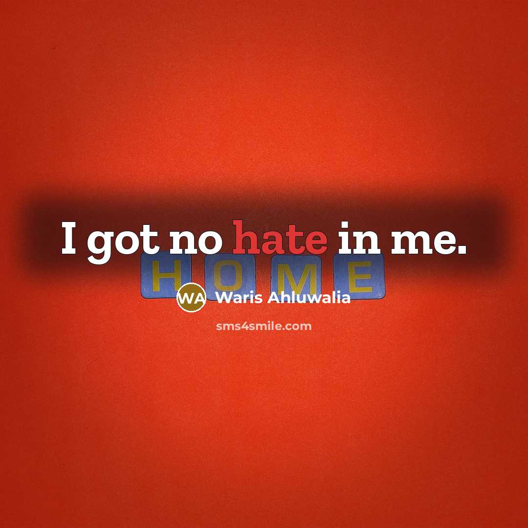“I got no hate in me.…” quote by Waris Ahluwalia