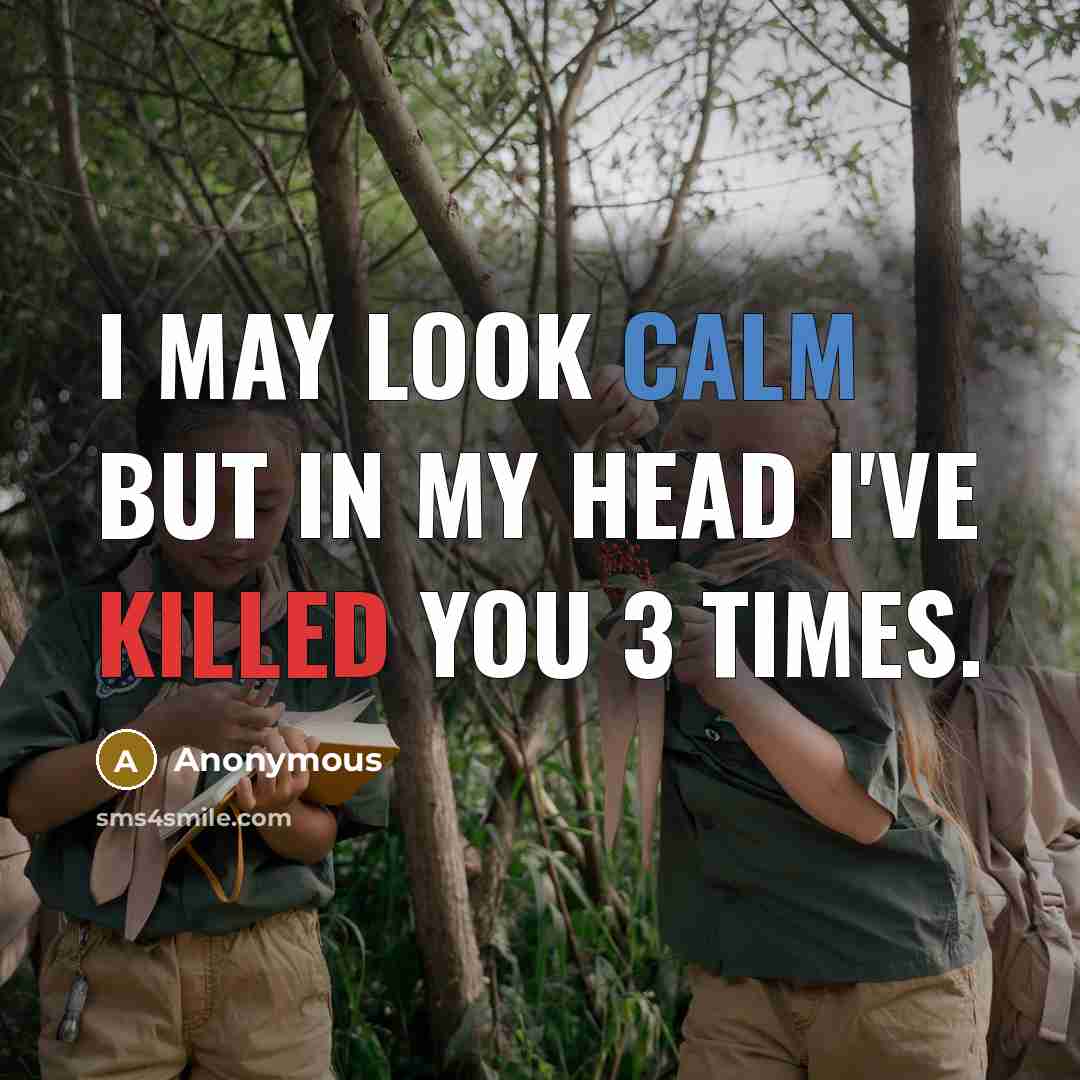 “I may look calm but in my head I've killed…” quote by Anonymous