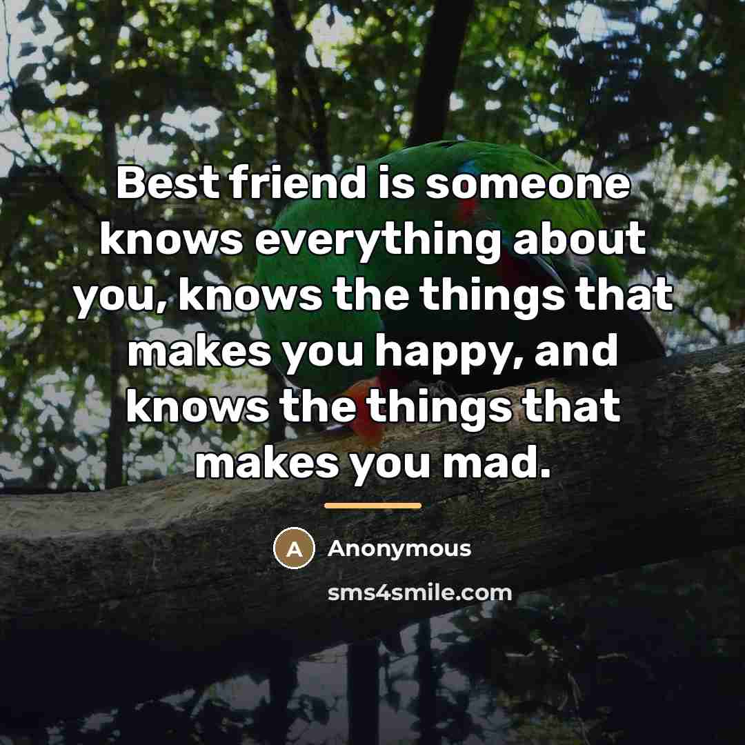 “Best friend is someone knows everything about you, knows the…” quote by Anonymous