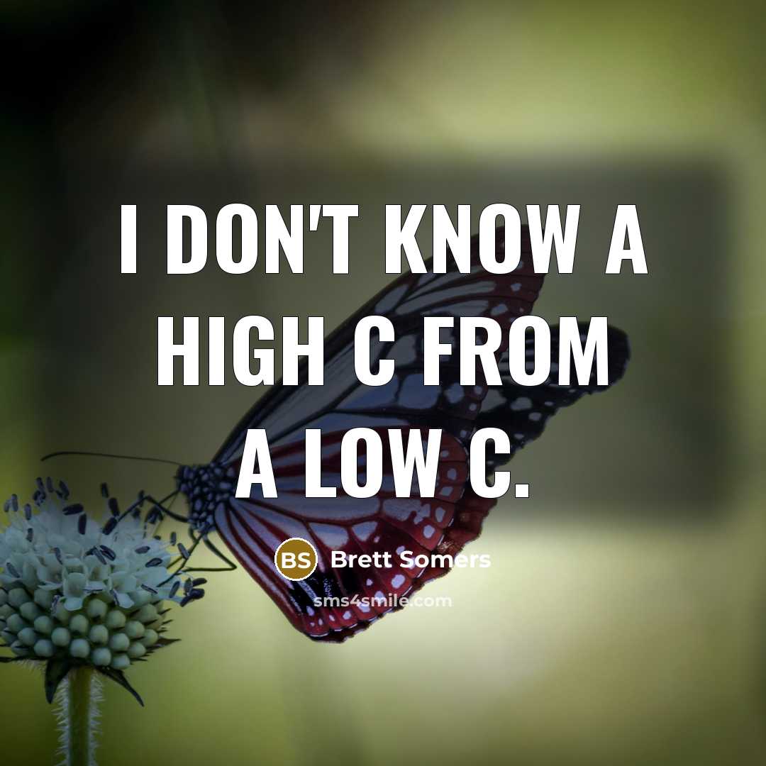 “I don't know a high C from a low C.…” quote by Brett Somers