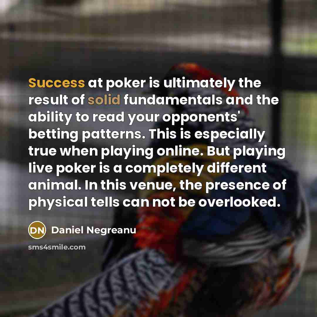 “Success at poker is ultimately the result of solid fundamentals…” quote by Daniel Negreanu